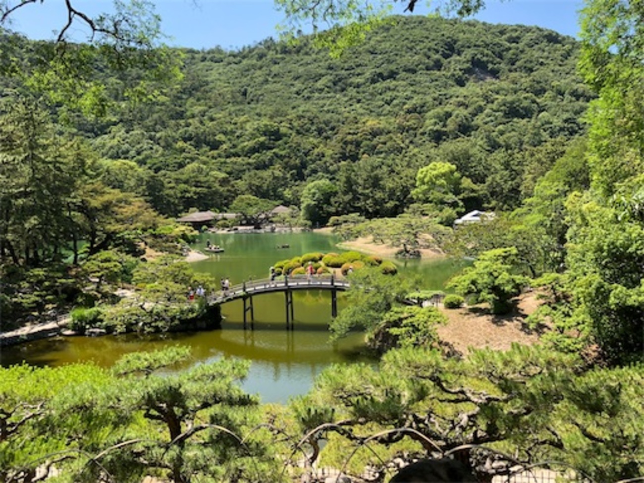 香川 旅】後半☆栗林公園をガイドさんと散策したら見どころ満載！大