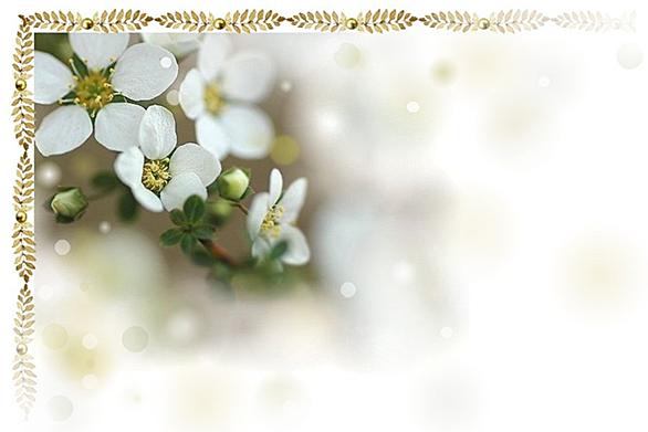 Hp素材とは ウェブの人気 最新記事を集めました はてな