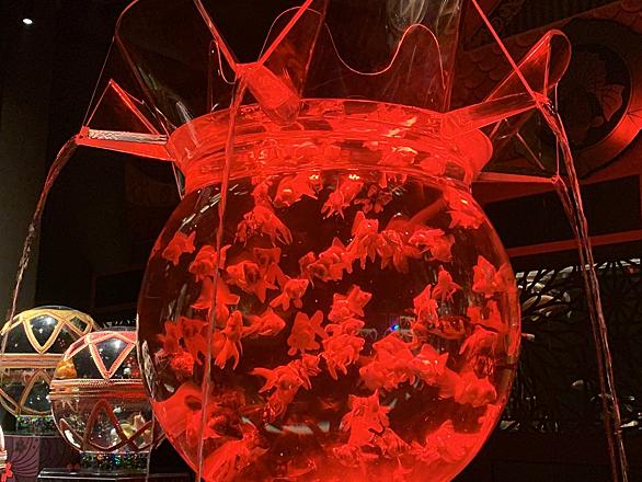 アートアクアリウムとは アートの人気 最新記事を集めました はてな アートアクアリウムとは アートの人気 最新記事を集めました はてな