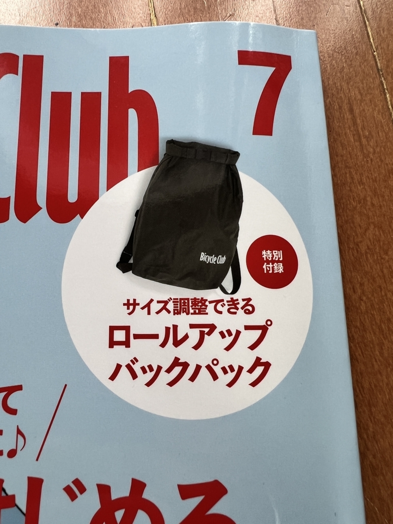 バイクラ7月号付録のバックパックを使ってみた - サルサ野郎は考えた