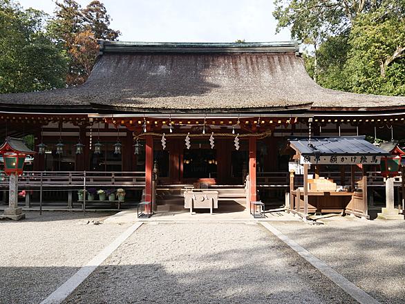 東天紅鶏とは 動植物の人気 最新記事を集めました はてな 東天紅鶏とは 動植物の人気 最新記事を集めました はてな