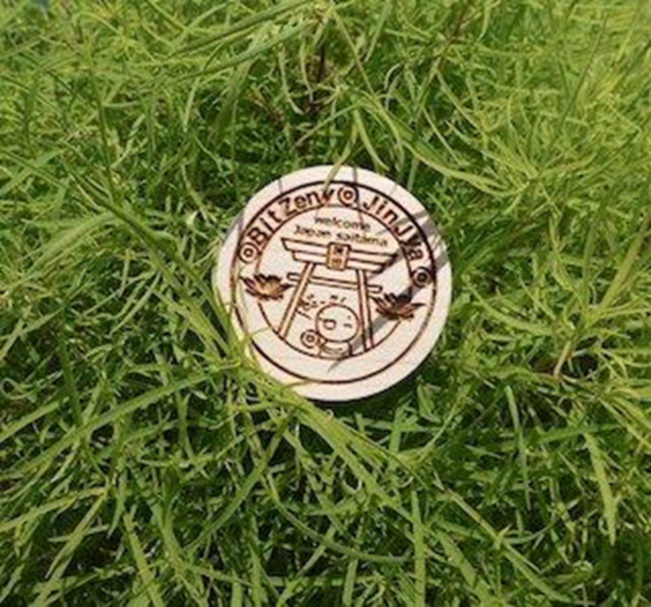 植林まで完了循環ができたBitZeny神社木製コイン - MOMO BLOG