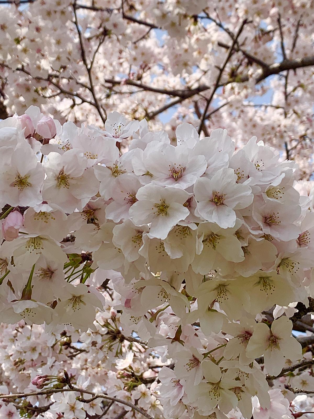 05 15 22 02 １と３のあいだ