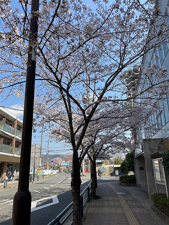 木屋町通とは 地理の人気 最新記事を集めました はてな 木屋町通とは 地理の人気 最新記事を集めました はてな