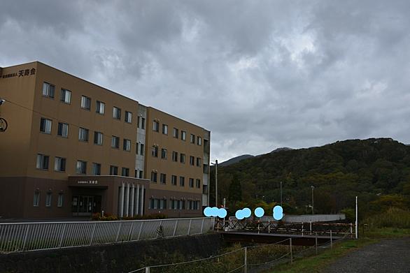 雪虫とは 動植物の人気 最新記事を集めました はてな