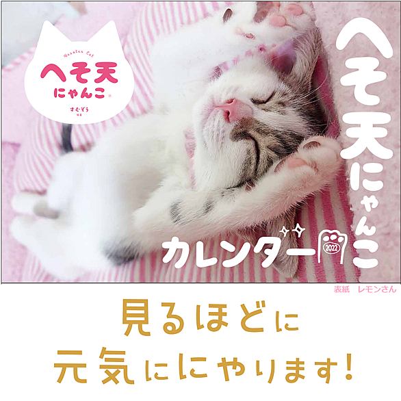 なめ猫とは 動植物の人気 最新記事を集めました はてな なめ猫とは 動植物の人気 最新記事を集めました はてな