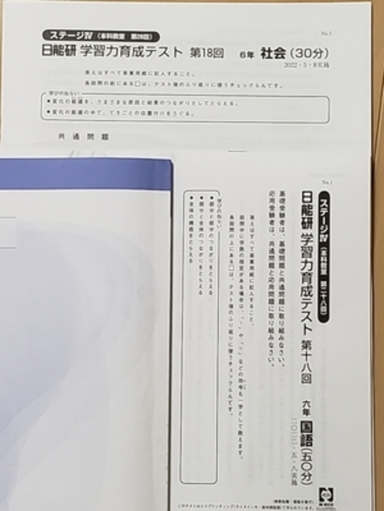 LIMURU様専用 日能研 6年生 夏期講習テスト 育成テスト 4教科 最新版2025