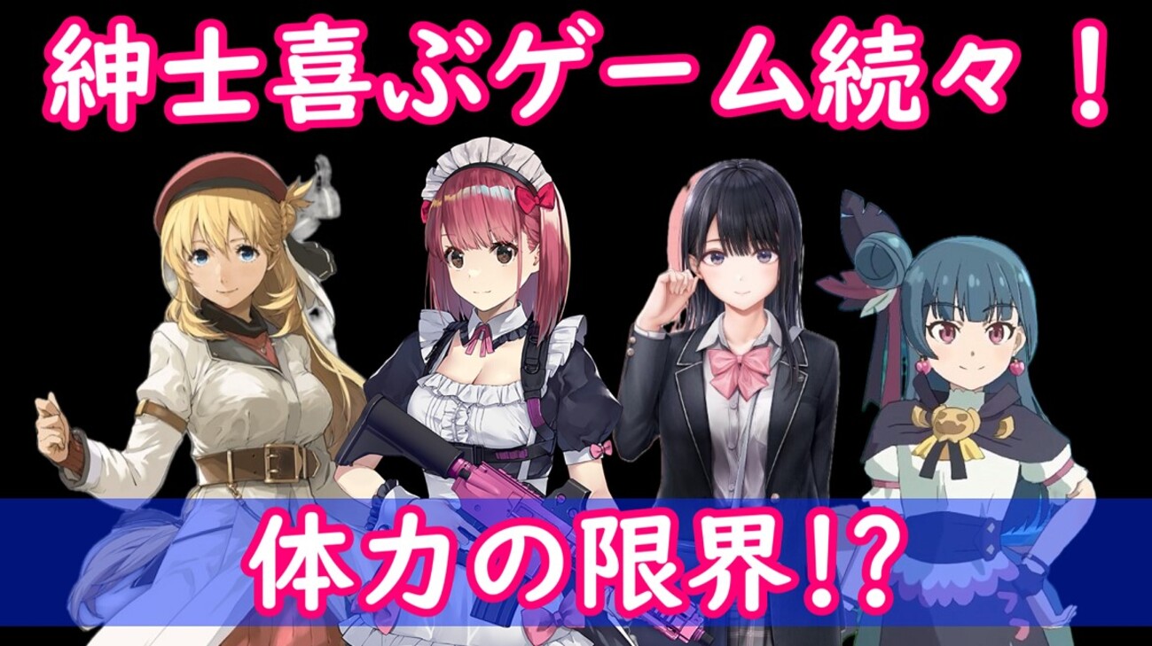 2月のSwitch紳士ソフトは魅力抜群！ 体力もつか？ - 片耳うさぎのひざ