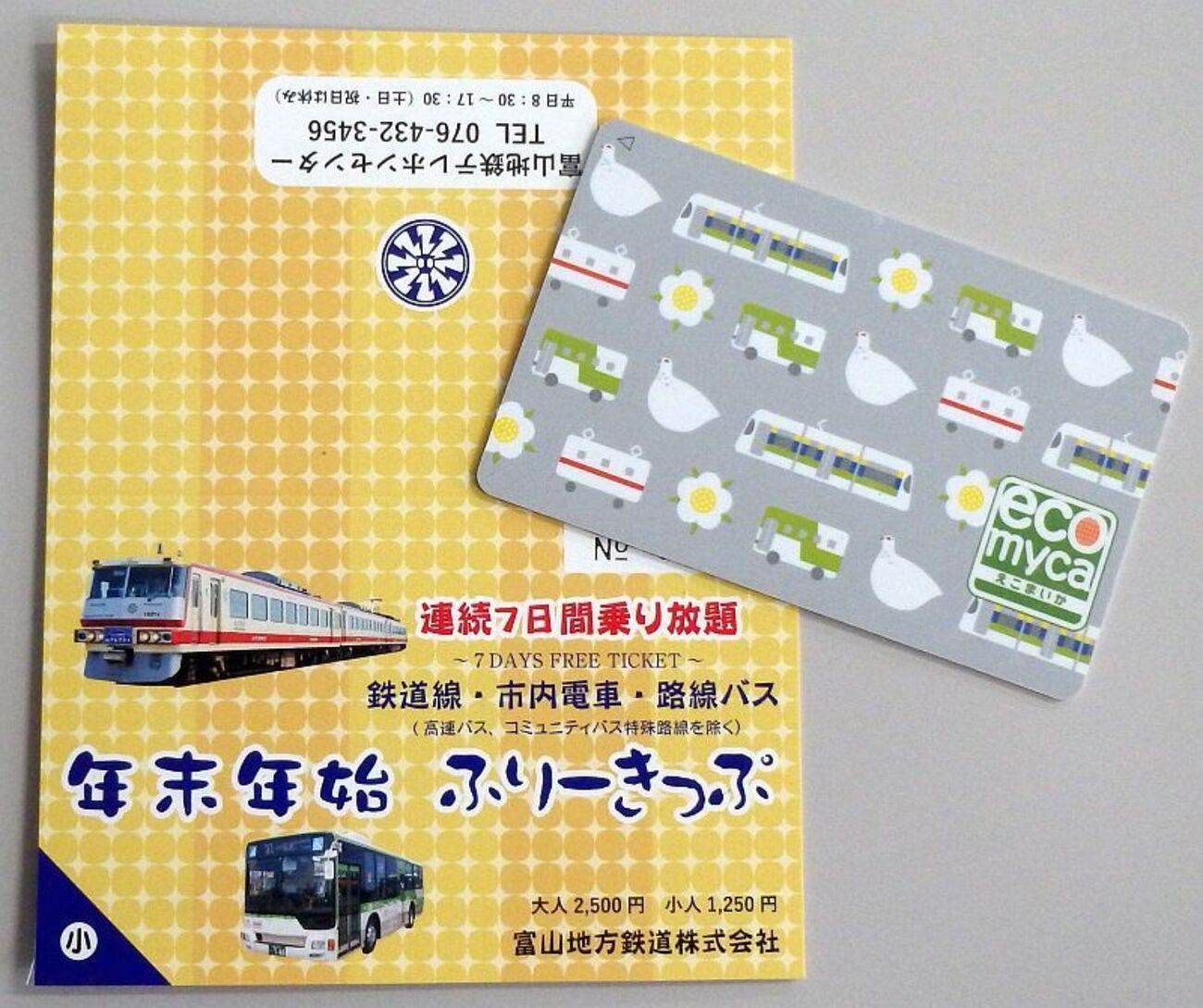 富山地方鉄道「年末年始ふり～きっぷ」 - バスに乗るのが目的