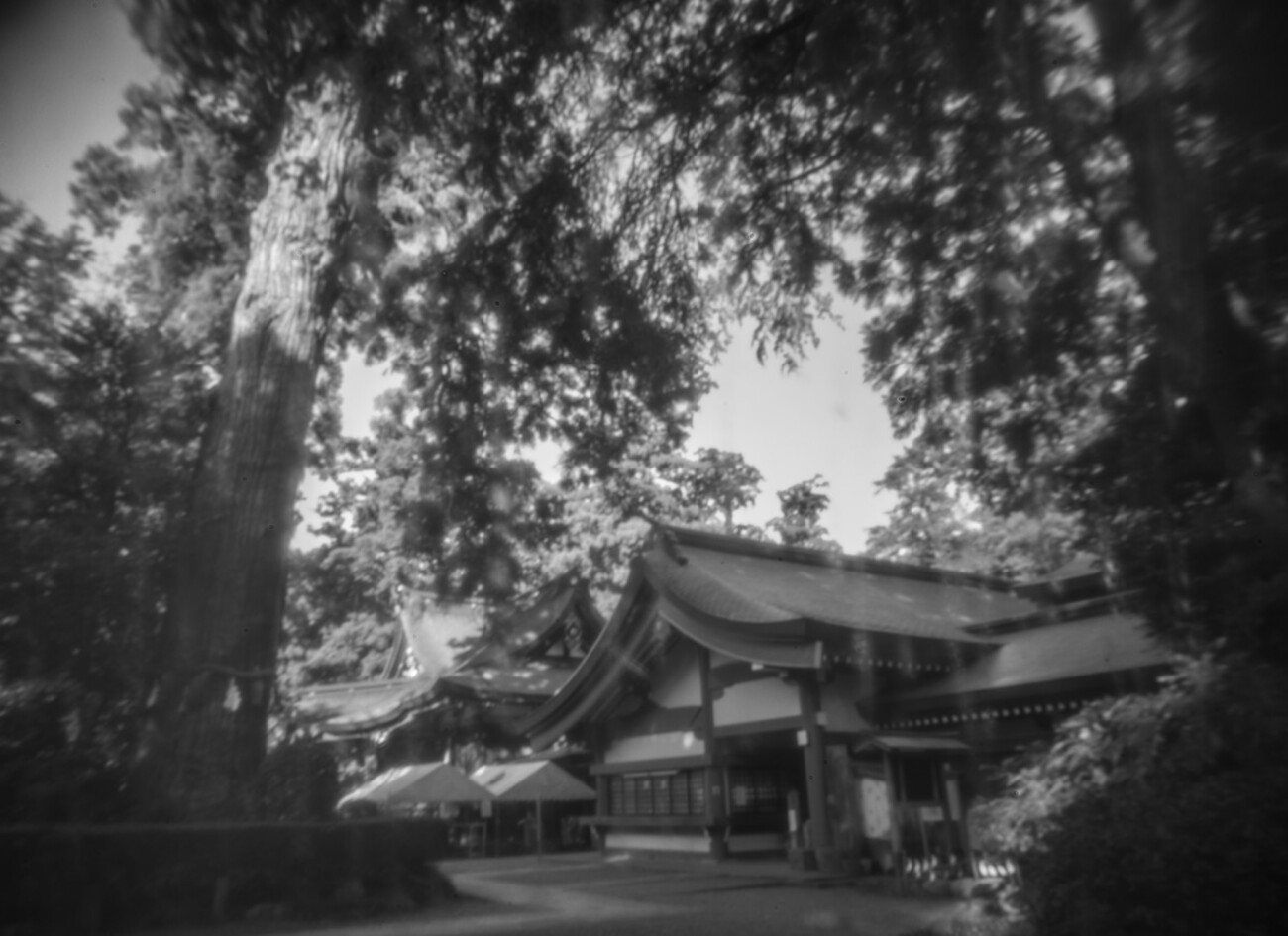 神宮 - 日本の神社文化 鹿島神宮のレイライン – 日本とユダヤのハーモニー＆古代史の研究