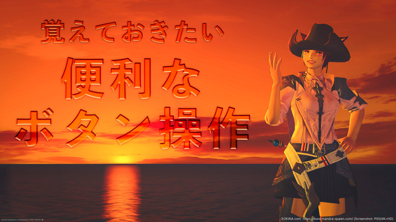 Nintendo Switch FF14 モルボルサイン入り mqdefault.jpg