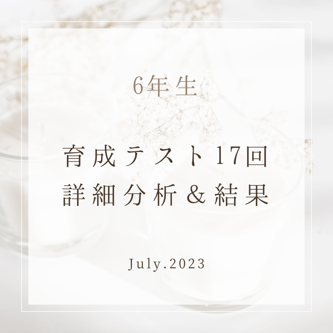日能研　2024年　新6年生　育成テスト　前期全17回分 日能研2024年新6年生育成テスト前期全17回分
