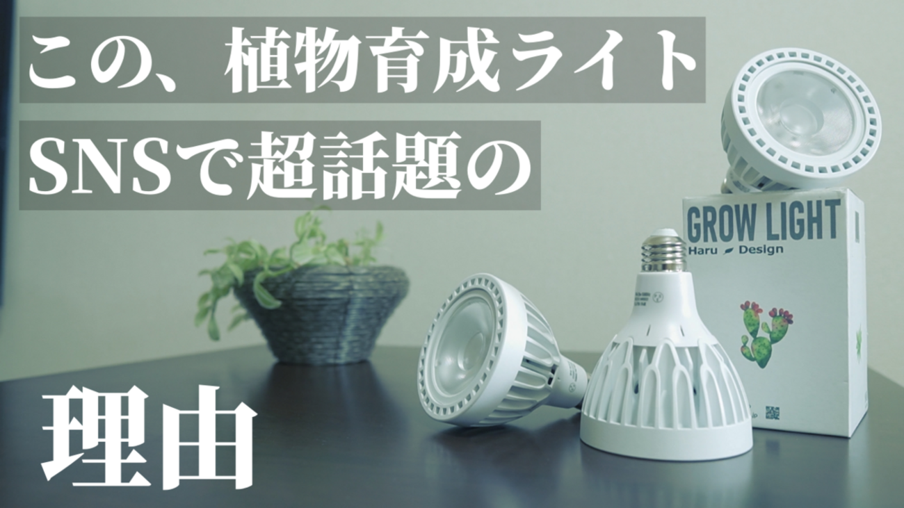 backend=imagemagick;version=1;