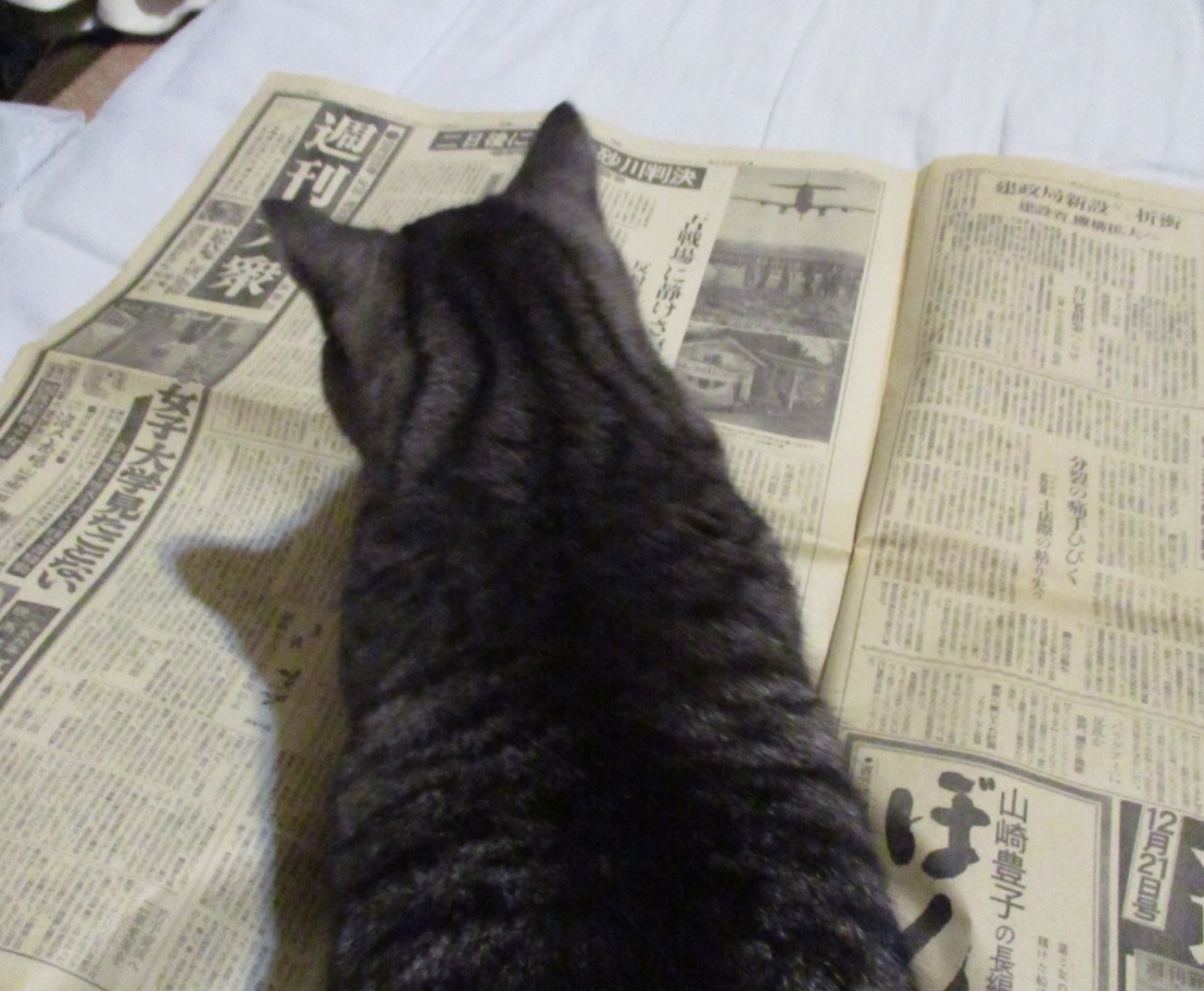 58］暇つぶしに廃村で拾った昭和34年（1959年）の読売新聞を読んでみる