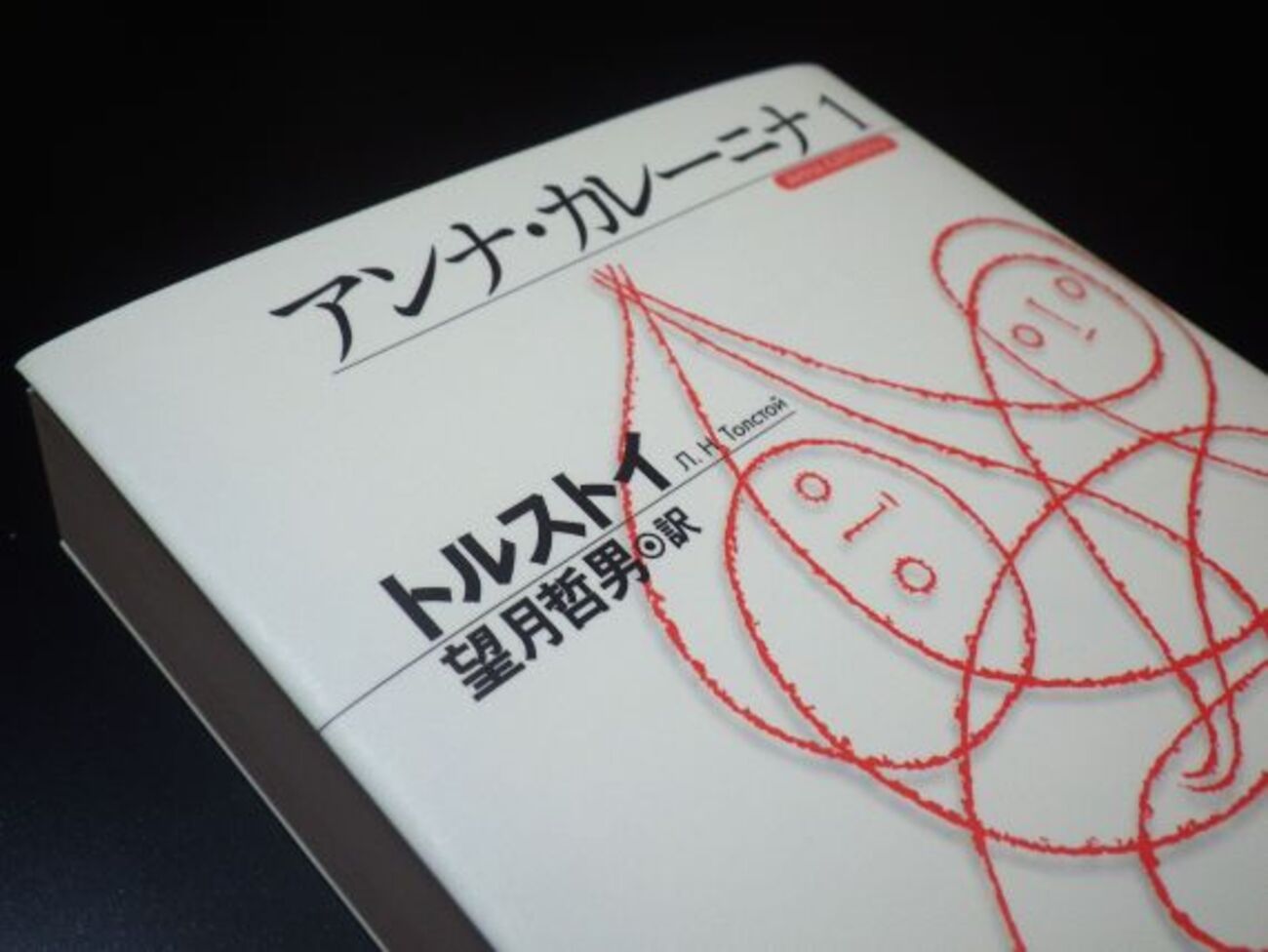 一人読書会『アンナ・カレーニナ』（トルストイ）⑤ ……第2部、12章～24 