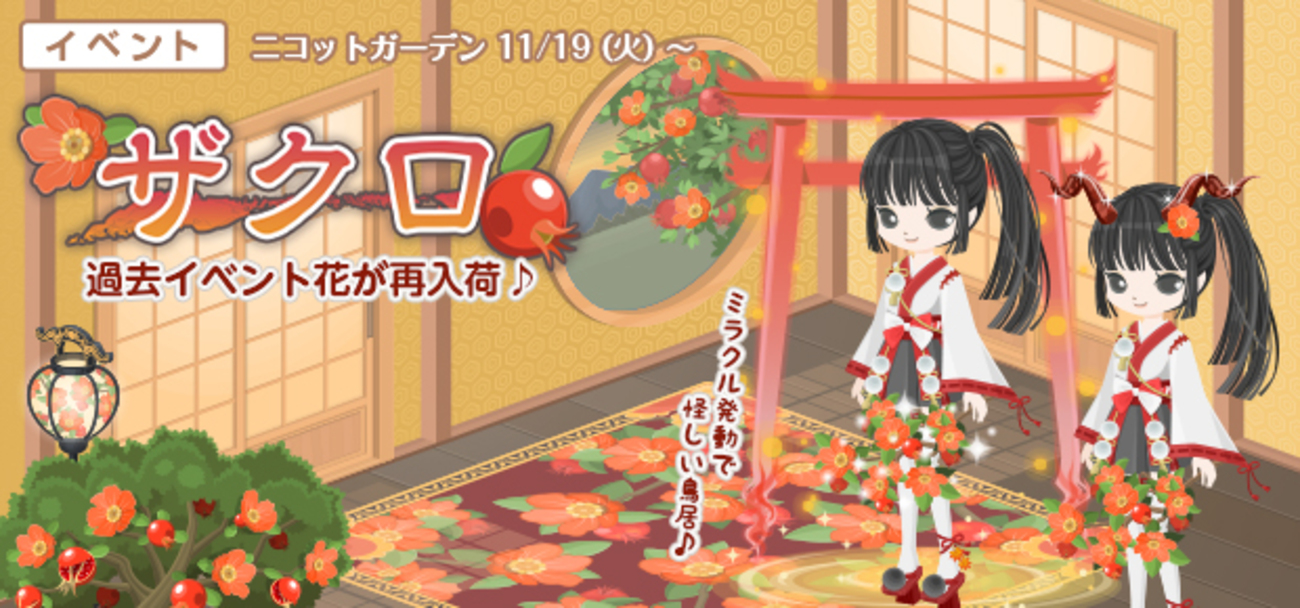 ザクロ イベントタネ再入荷 - ニコッとタウンきせかえめも