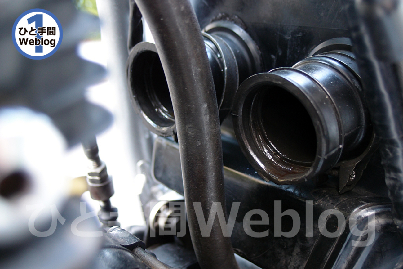 backend=imagemagick;version=1;