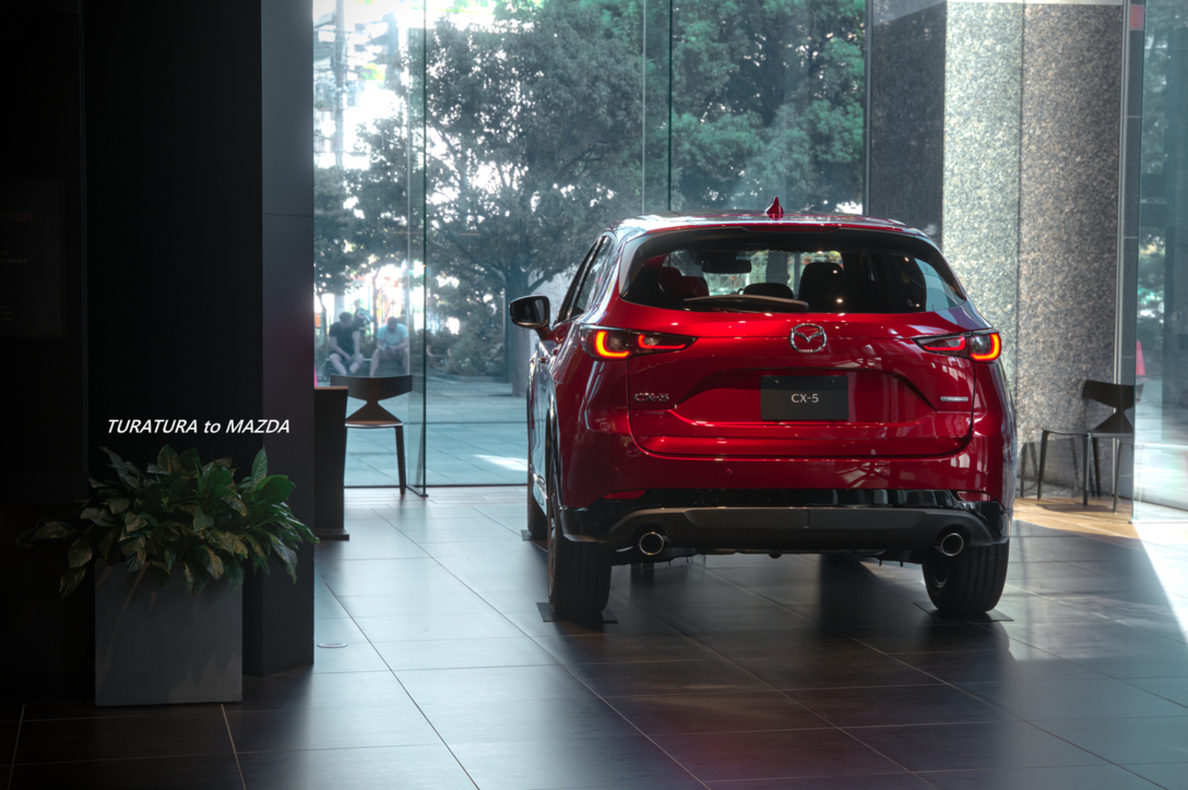 backend=imagemagick;version=1;