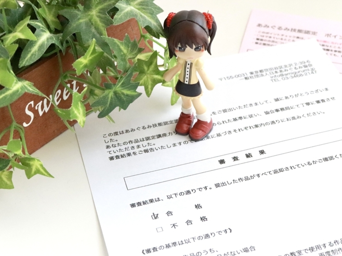 あみぐるみ技能認定通信講座の提出から審査まで～チェック表あるので 