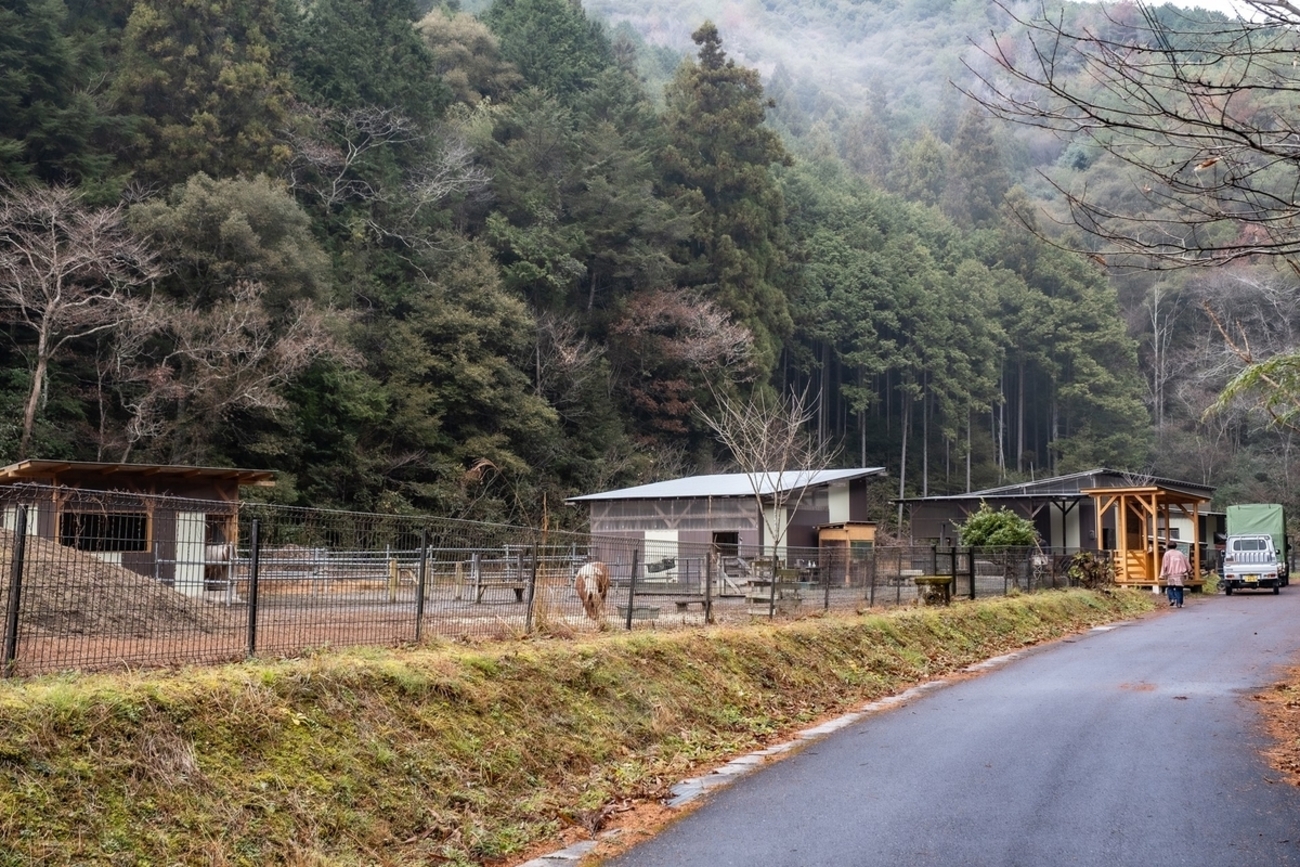 【中古】 ブレーメン動物園においで/スコラ/西尚美 四万十ふれあい動物村ブレーメン 2025.12.21 - KOTARO-PARADISE ・From