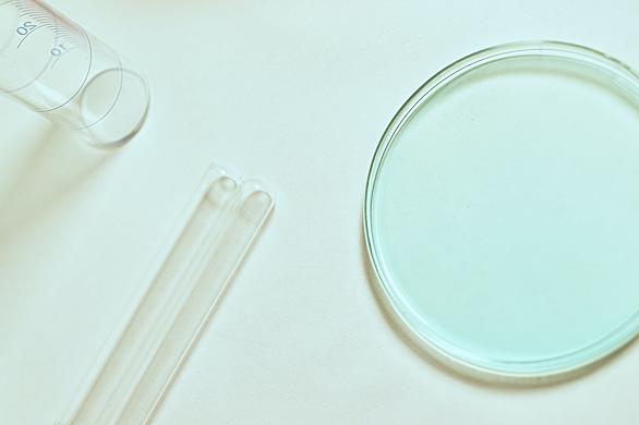 聖母病院とは 地理の人気 最新記事を集めました はてな