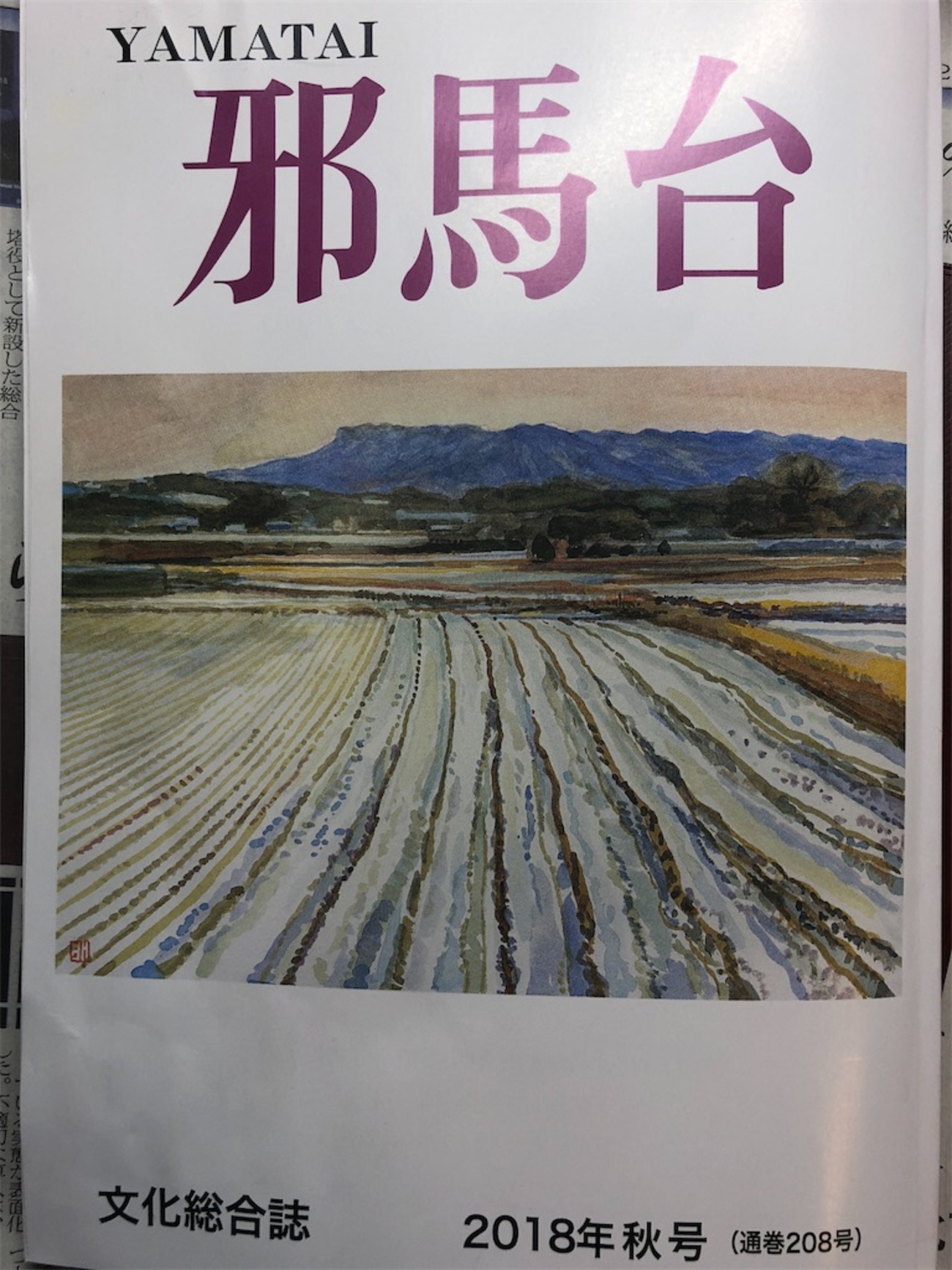 グリーン碁石 美品希少 → 囲碁石 夏樹 静子 公式通販 目に優しい 天然