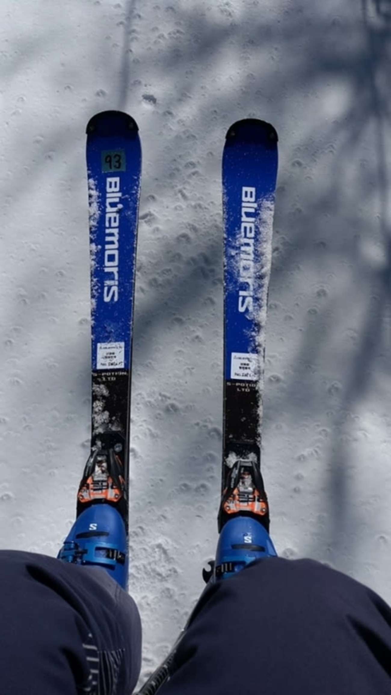 2026スキー試乗10 ブルーモリス S-POTION Ltd. BMロングプレート(165