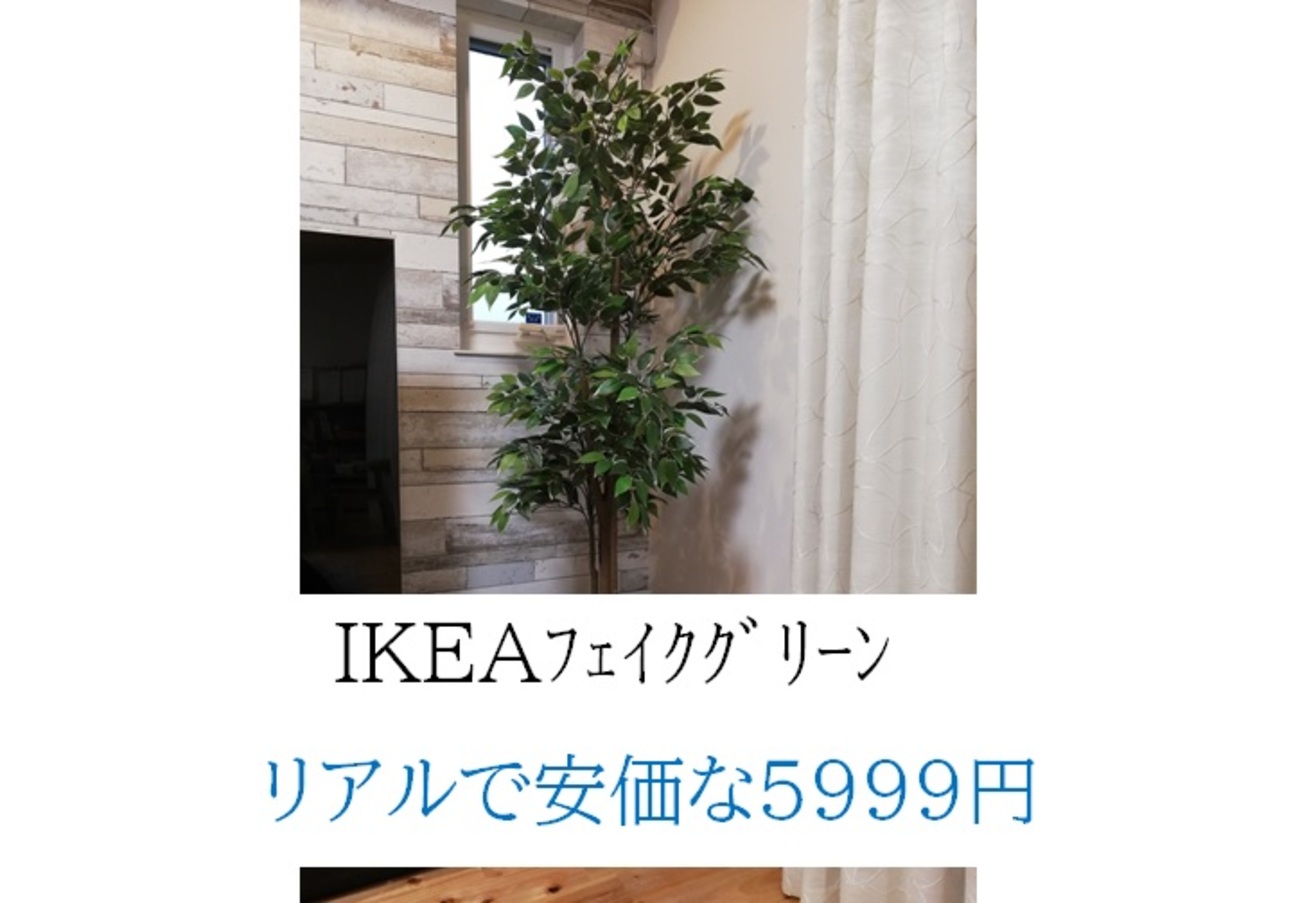 IKEAのフェイクグリーン170cm リアルで安くてオススメ - 山ちゃんの 