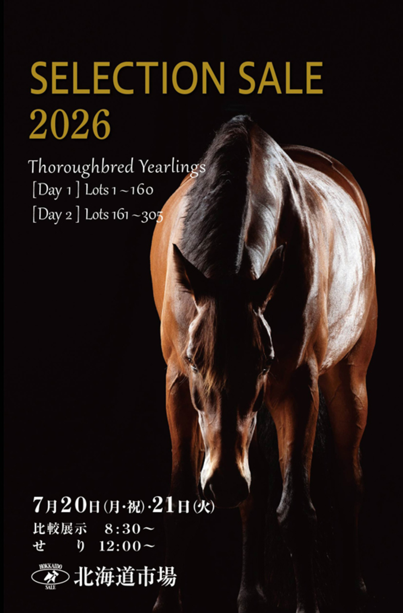 セレクションセール2026(Selection Sale)】の「上場馬写真(1歳馬305頭