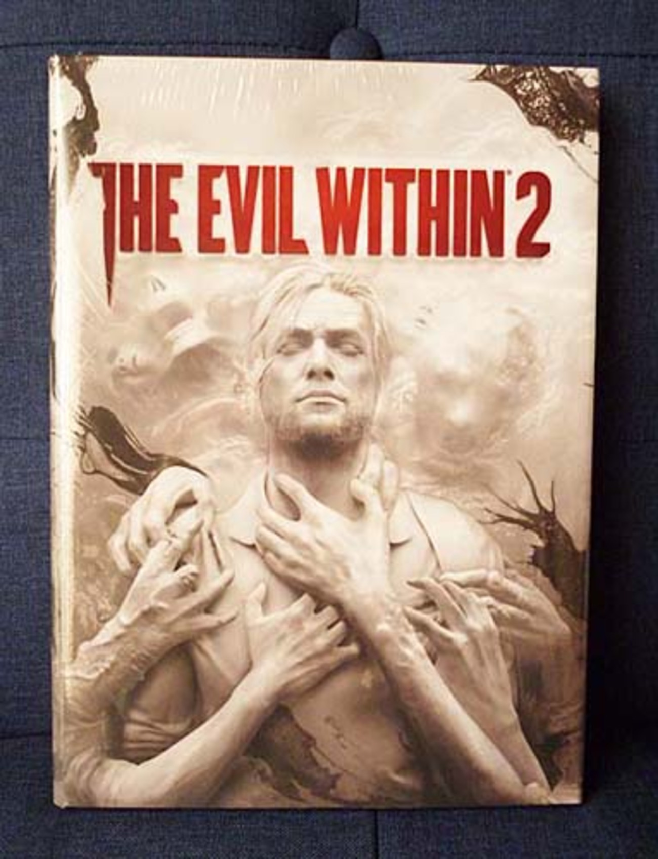 サイコブレイク2】The Evil Within 2のコレクターズエディションガイド 