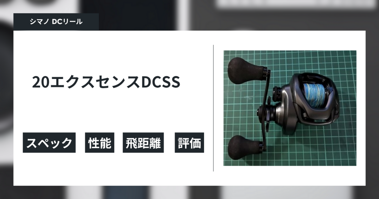 20エクスセンスDCSS XGの使用感メモ - gagarablog