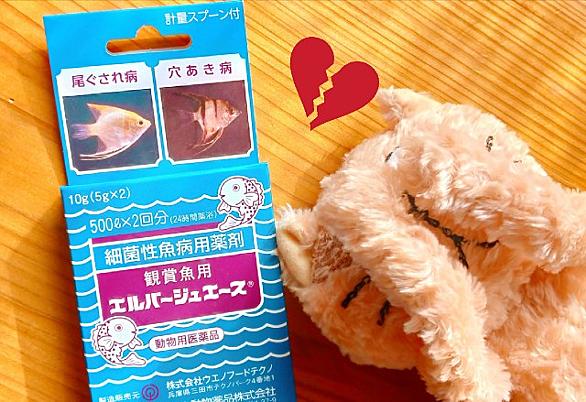 薬浴とは 人気 最新記事を集めました はてな