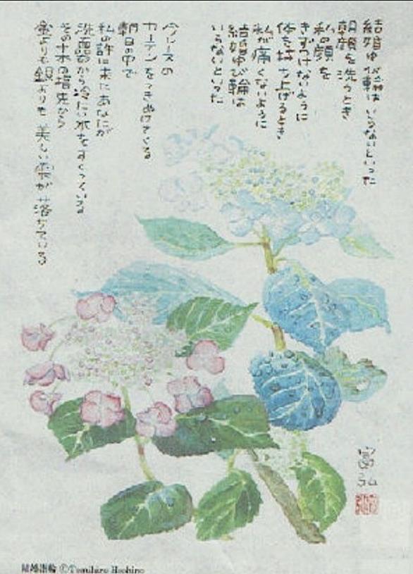 星野富弘とは アートの人気 最新記事を集めました はてな