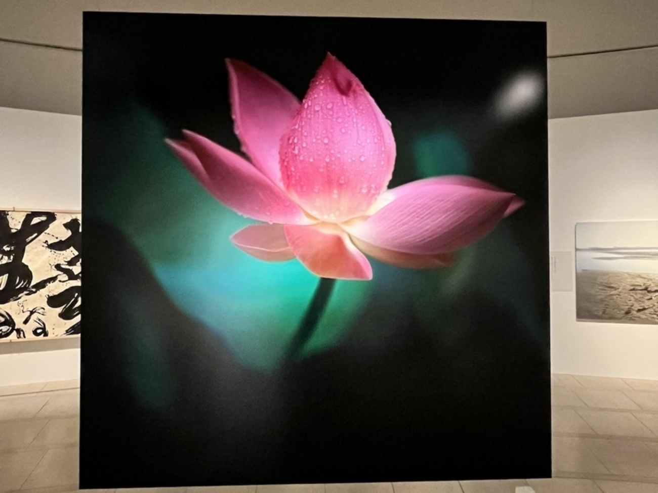祈り・藤原新也」写真展 - 30年ぶりに藤原さんの作品に再会した感動を
