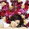 紅い花、青い花