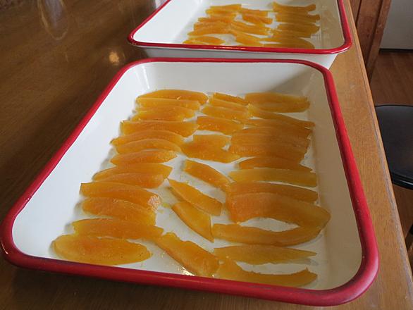 パール柑とは 食の人気 最新記事を集めました はてな
