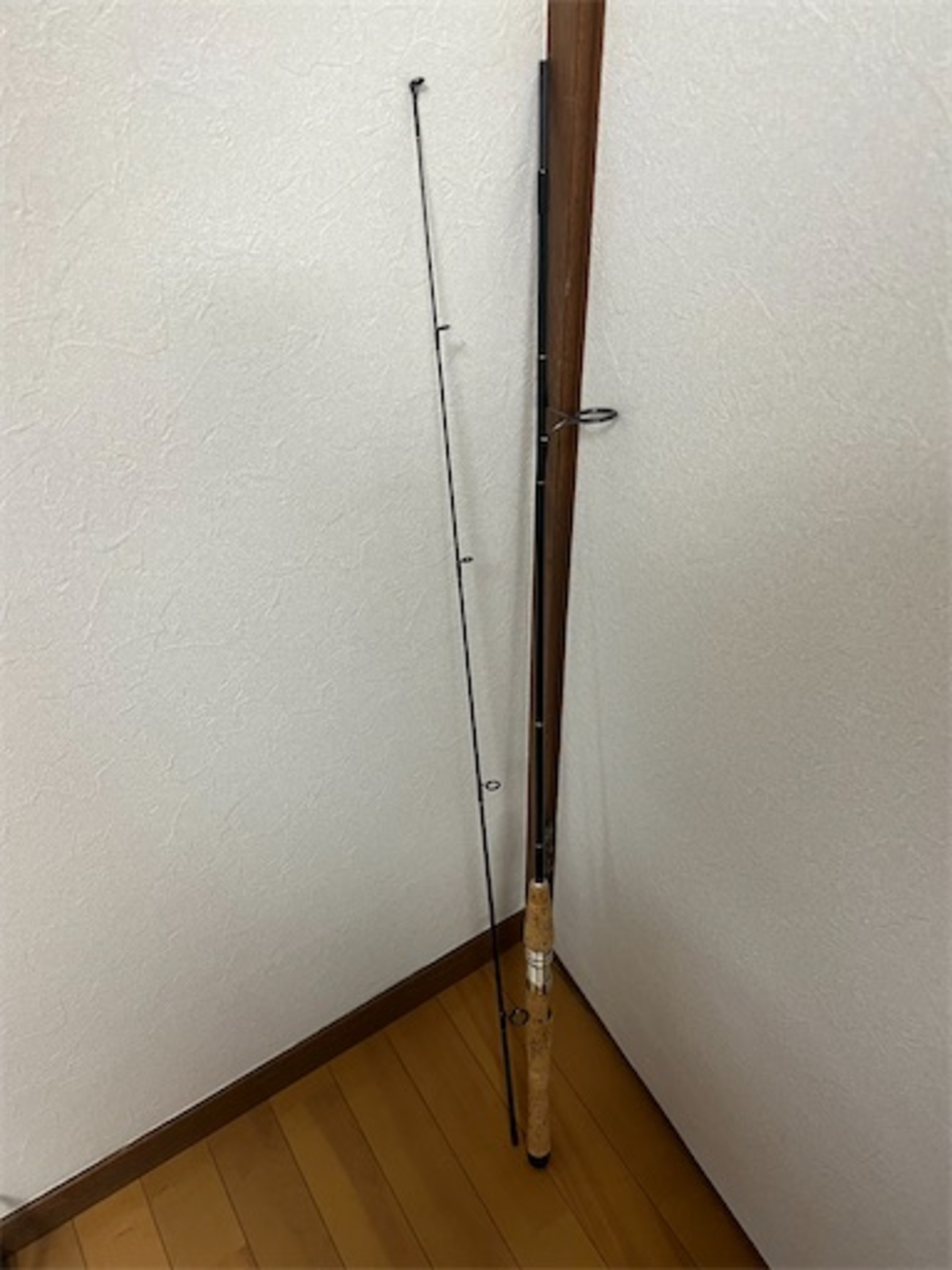 ufmウエダロッド購入〜トラウトプラッギングスピン6