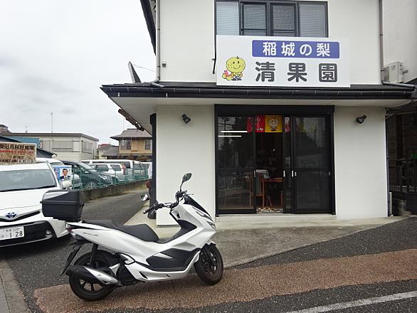 稲城の梨とは 食の人気 最新記事を集めました はてな