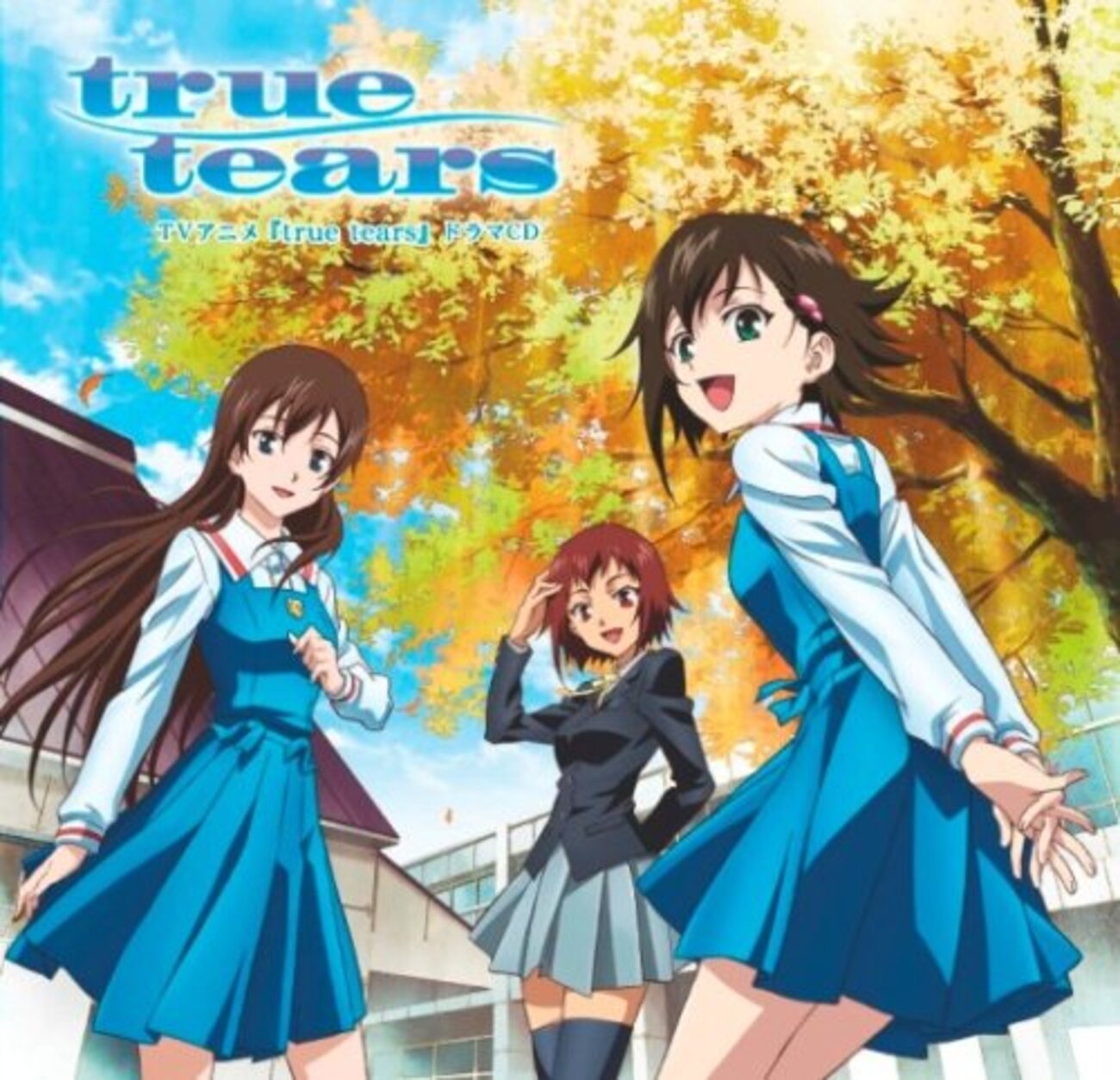 アニメ「true tears」　城端　むぎや祭　ポスター　額装　V　5413A アニメ「true tears」 城端 むぎや祭 ポスター 額装 V 5413A