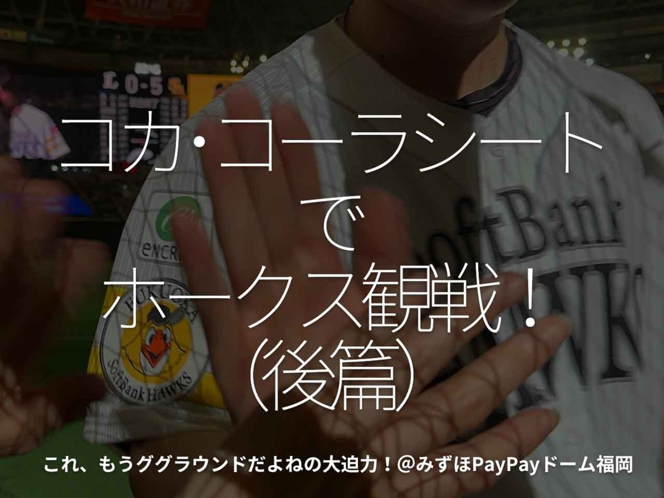 2767食目「コカ・コーラシートでホークス観戦！（後篇）」これ、もう 