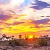 Safari / Sun Rise In Back Bay (feat. YUMA HARA, Ren Yamamoto & Masato Mori) - Single