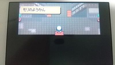 ポケモンプラチナとは ゲームの人気 最新記事を集めました はてな ポケモンプラチナとは ゲームの人気 最新記事を集めました はてな
