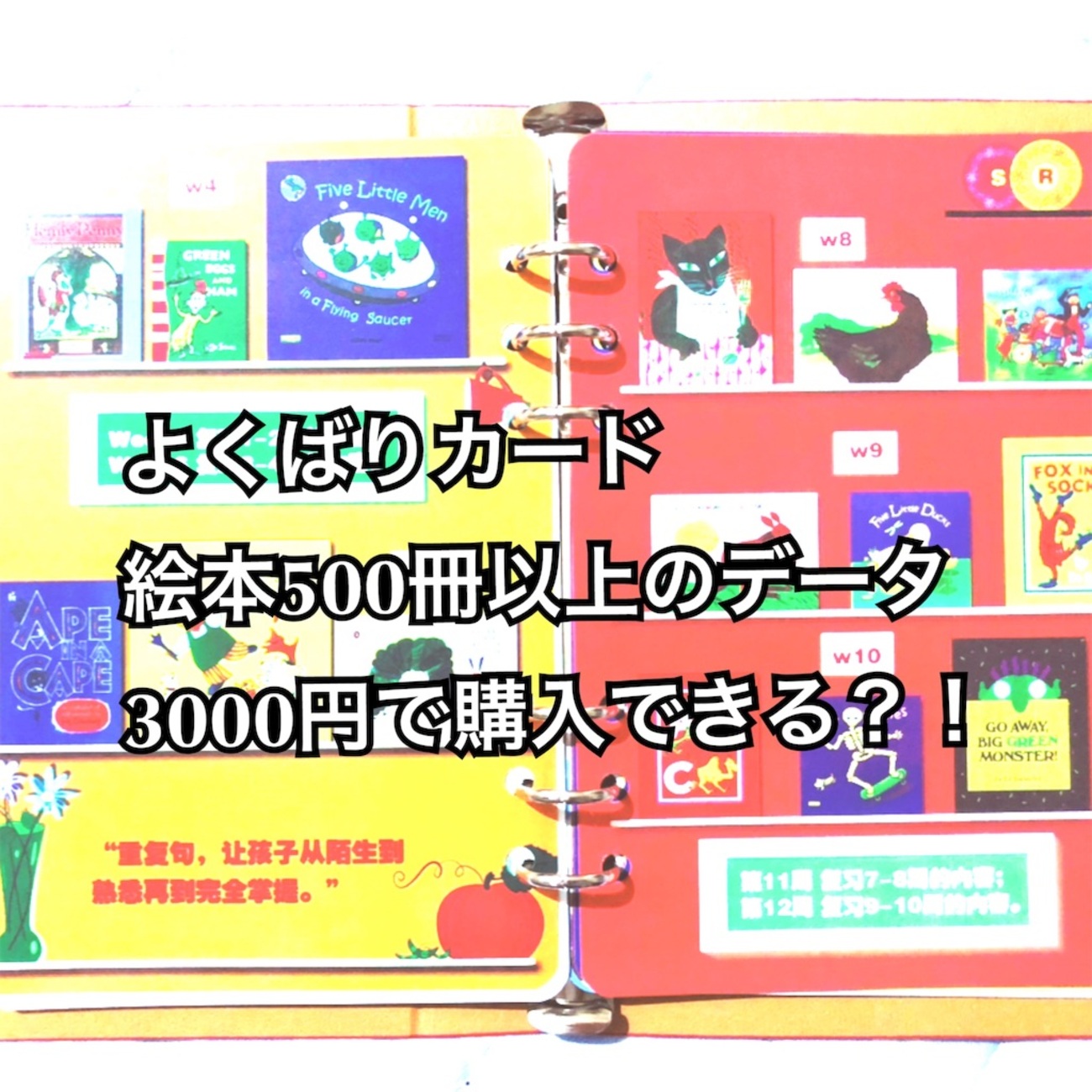 よくばりカード！500冊以上の絵本データが入って3000円？！破格 