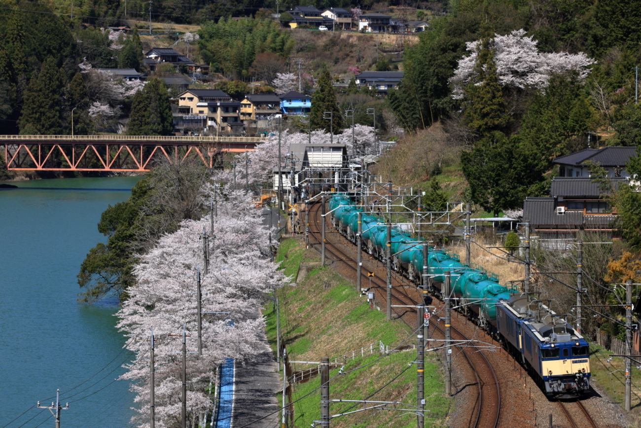 桜満開の落合川を往く、国鉄色EF64-1000重連の8084列車を撮る！ - 続