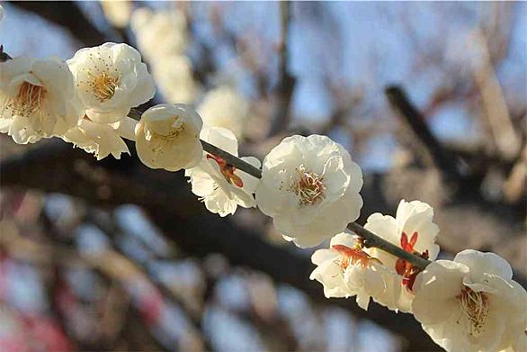 万博記念公園駅とは 地理の人気 最新記事を集めました はてな 万博記念公園駅とは 地理の人気 最新記事を集めました はてな
