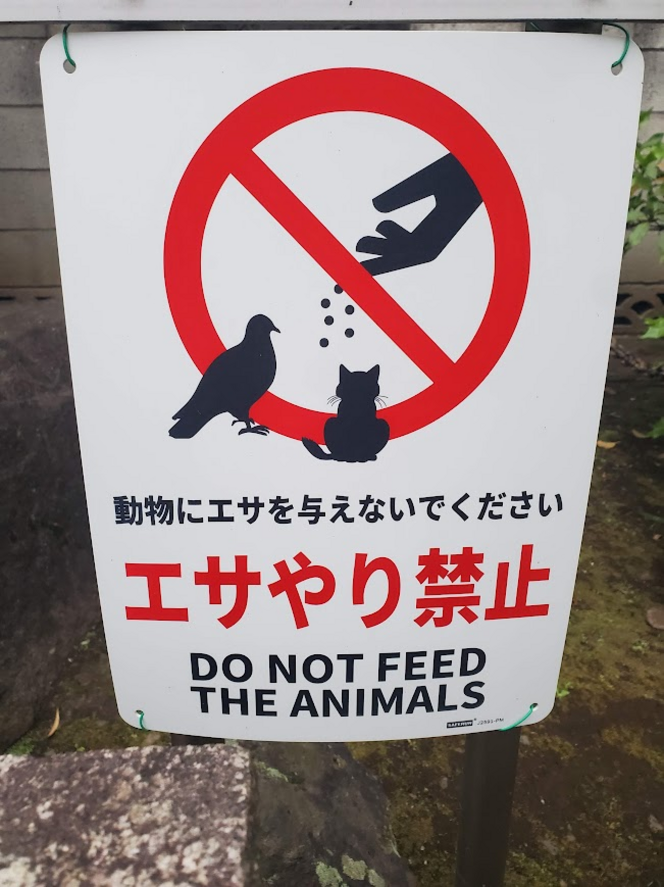 境界線上の断絶 ―エサやり禁止看板における次元の壁― - 歩・探・見・感