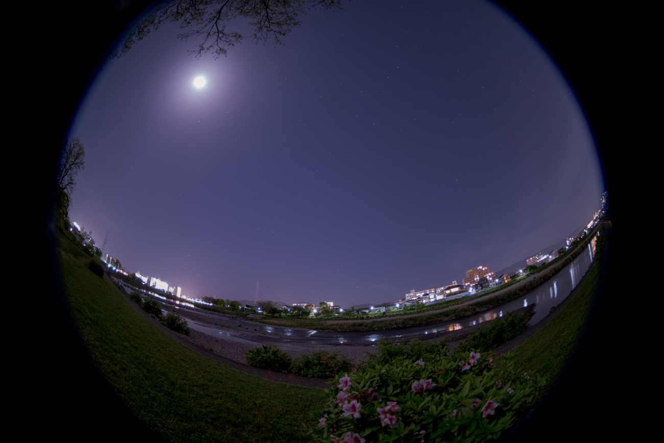 メルクリン② 1枚目の写真すべて PENTAX K-1 Mark II フリートライアル感想 おまけ - シロナガス