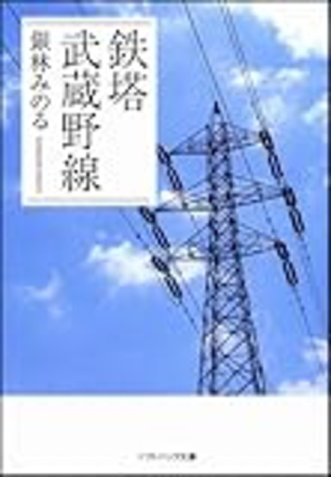 私の「鉄塔 武蔵野線」1 - 毎日送電線 鉄塔旅日記