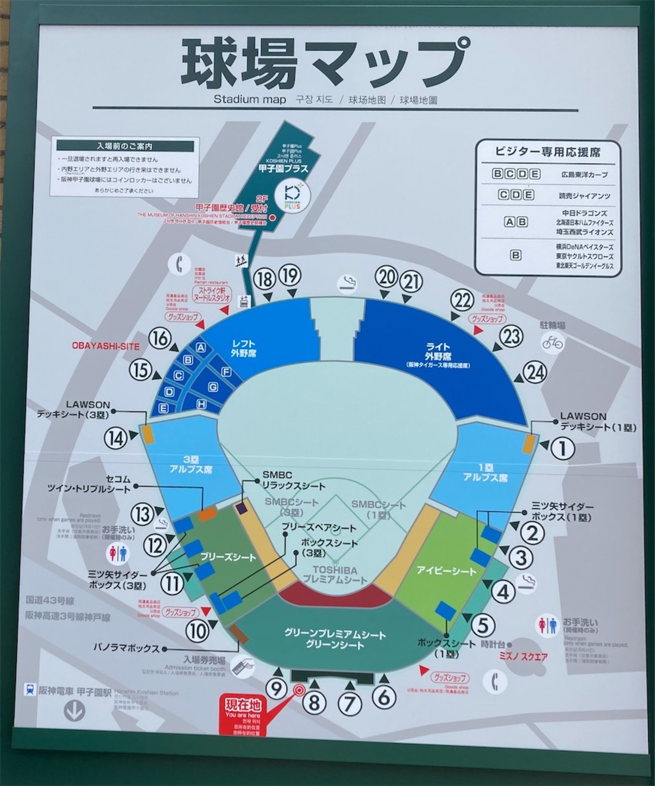 阪神甲子園球場グリーンプレミアムシートで観戦！見え方や特典は 