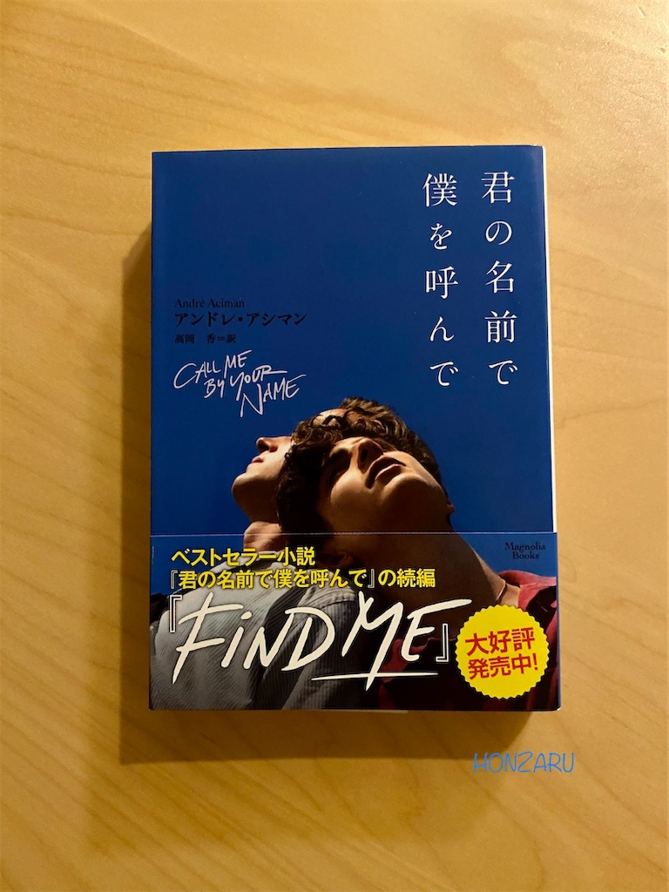 君の名前で僕を呼んで　豪華版パンフレット 写真750点掲載『君の名前で僕を呼んで』豪華版パンフレット数量